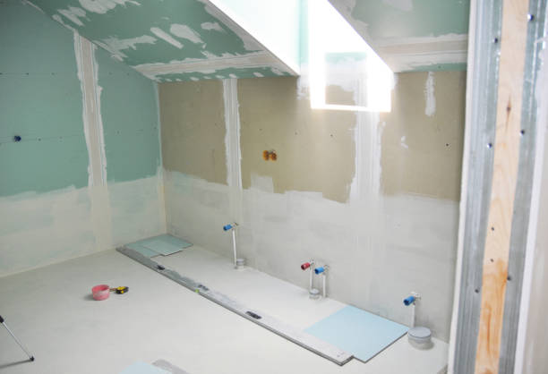 Best Emergency Mold Remediation  in Riverdale Park, MD