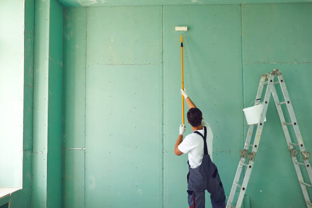 Best Basement Mold Removal  in Riverdale Park, MD