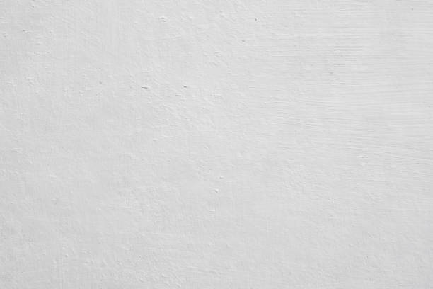 Best Mold Damage Restoration  in Riverdale Park, MD