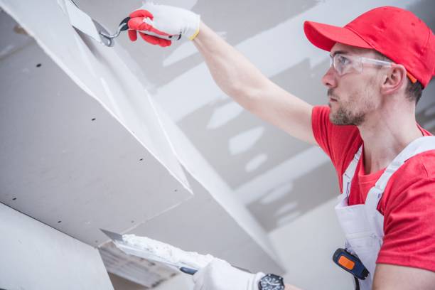Best Commercial Mold Inspection  in Riverdale Park, MD